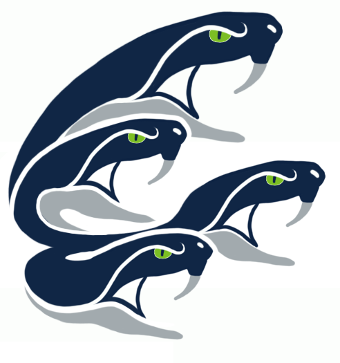 Seattle Seahawks Halloween Logo DIY iron on transfer (heat transfer)
